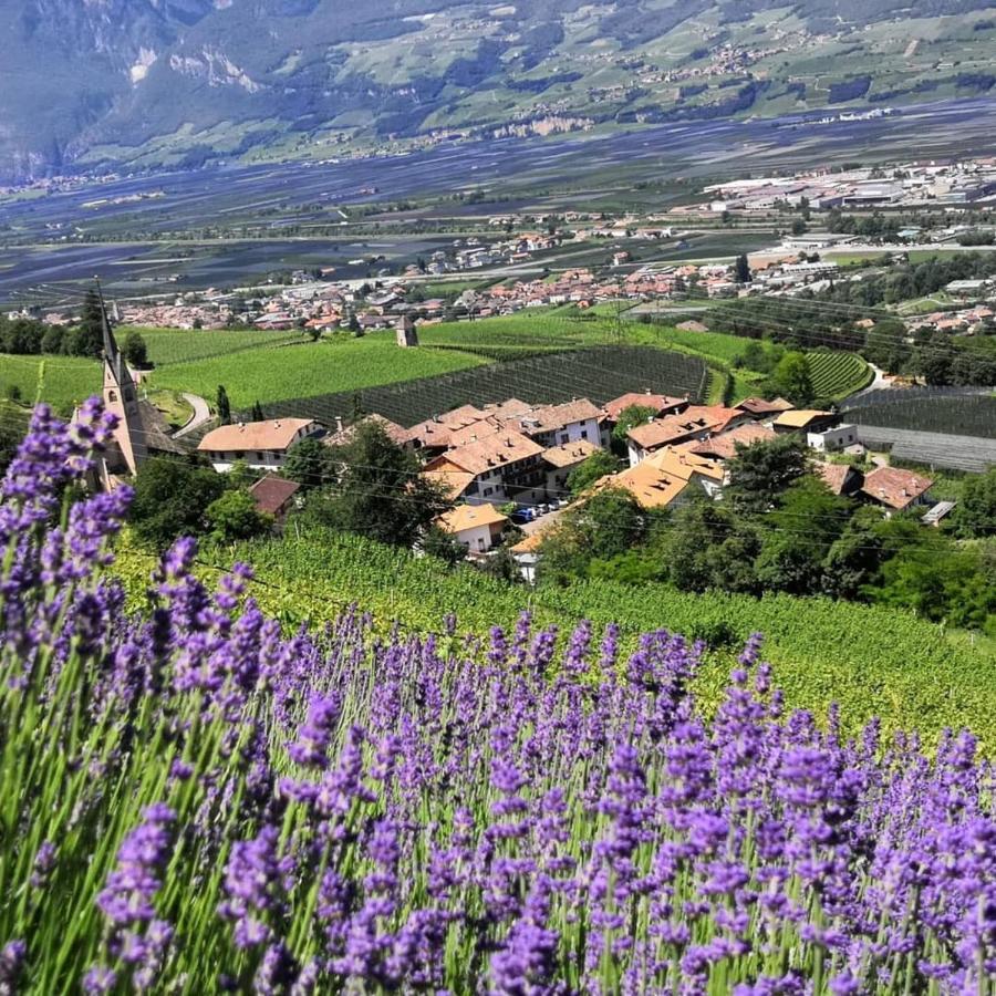 Amplatz 1523 - B&B And Suites Montagna Bagian luar foto